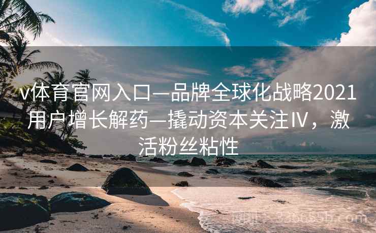 v体育官网入口—品牌全球化战略2021用户增长解药—撬动资本关注Ⅳ，激活粉丝粘性