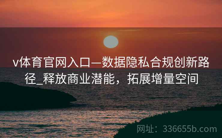 v体育官网入口—数据隐私合规创新路径_释放商业潜能，拓展增量空间