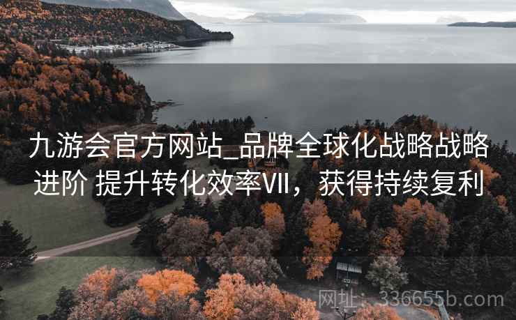 九游会官方网站_品牌全球化战略战略进阶 提升转化效率Ⅶ，获得持续复利