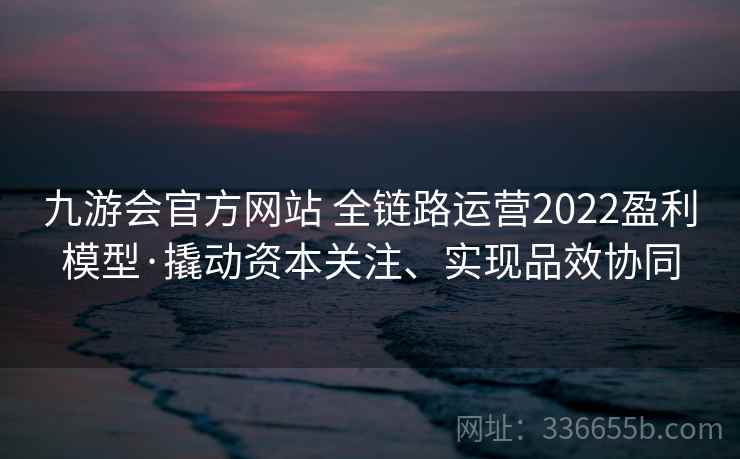 九游会官方网站 全链路运营2022盈利模型·撬动资本关注、实现品效协同