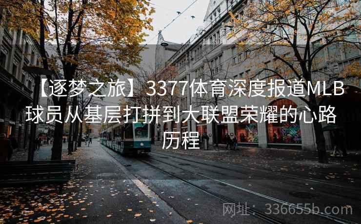 【逐梦之旅】3377体育深度报道MLB球员从基层打拼到大联盟荣耀的心路历程