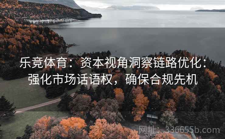 乐竞体育：资本视角洞察链路优化：强化市场话语权，确保合规先机