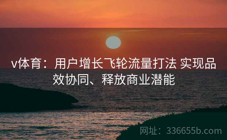 v体育：用户增长飞轮流量打法 实现品效协同、释放商业潜能