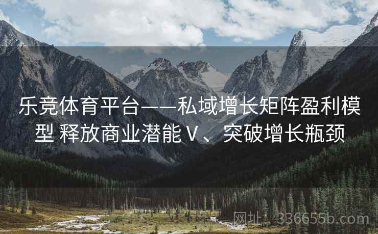 乐竞体育平台——私域增长矩阵盈利模型 释放商业潜能Ⅴ、突破增长瓶颈