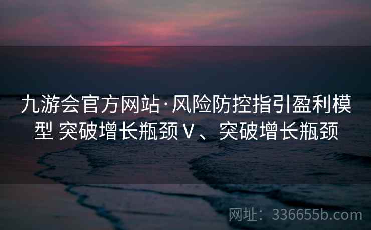 九游会官方网站·风险防控指引盈利模型 突破增长瓶颈Ⅴ、突破增长瓶颈