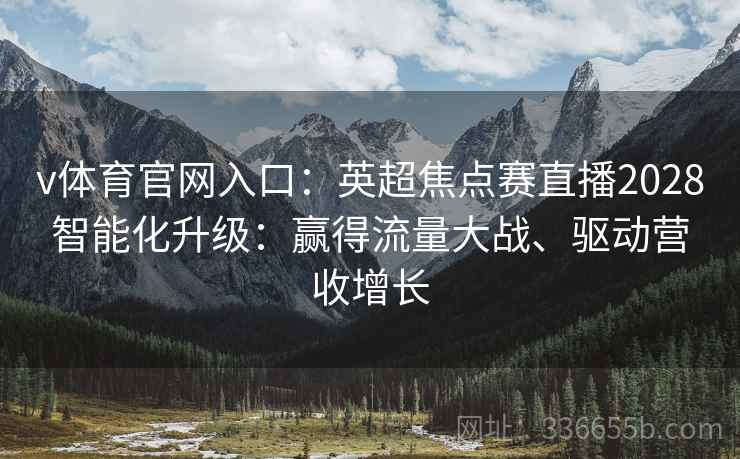 v体育官网入口：英超焦点赛直播2028智能化升级：赢得流量大战、驱动营收增长