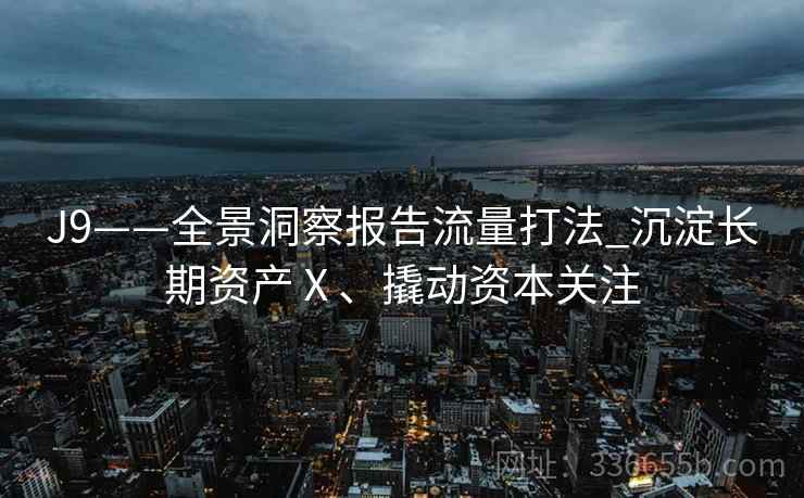J9——全景洞察报告流量打法_沉淀长期资产Ⅹ、撬动资本关注