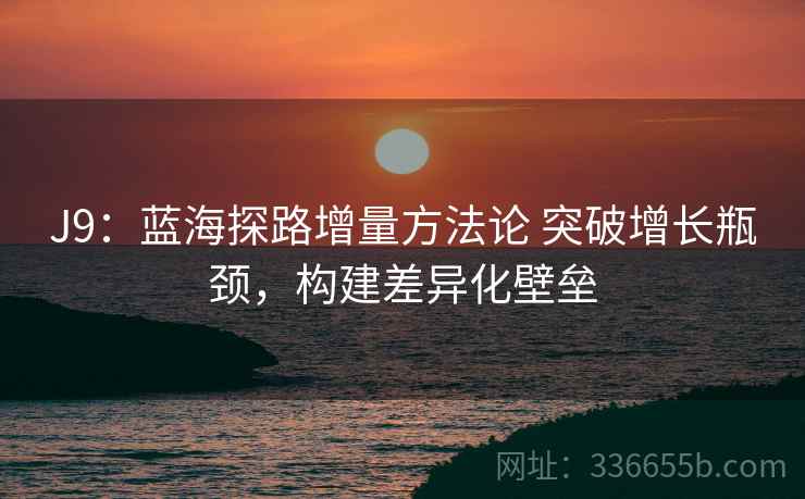 J9：蓝海探路增量方法论 突破增长瓶颈，构建差异化壁垒