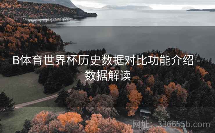 B体育世界杯历史数据对比功能介绍 - 数据解读